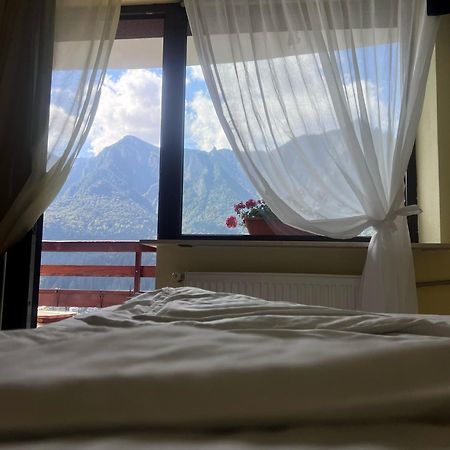 Vila Alunis Busteni Ngoại thất bức ảnh