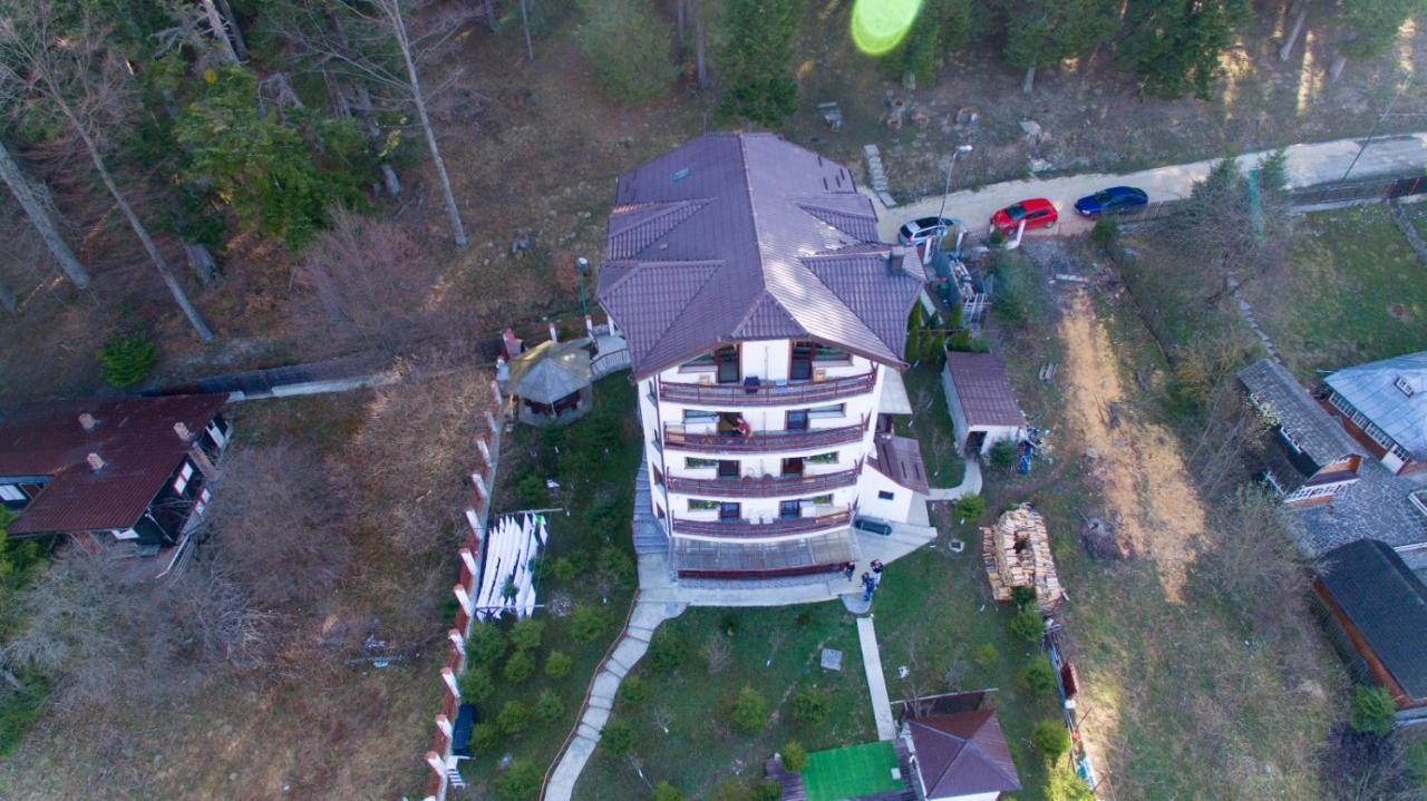 Vila Alunis Busteni Ngoại thất bức ảnh