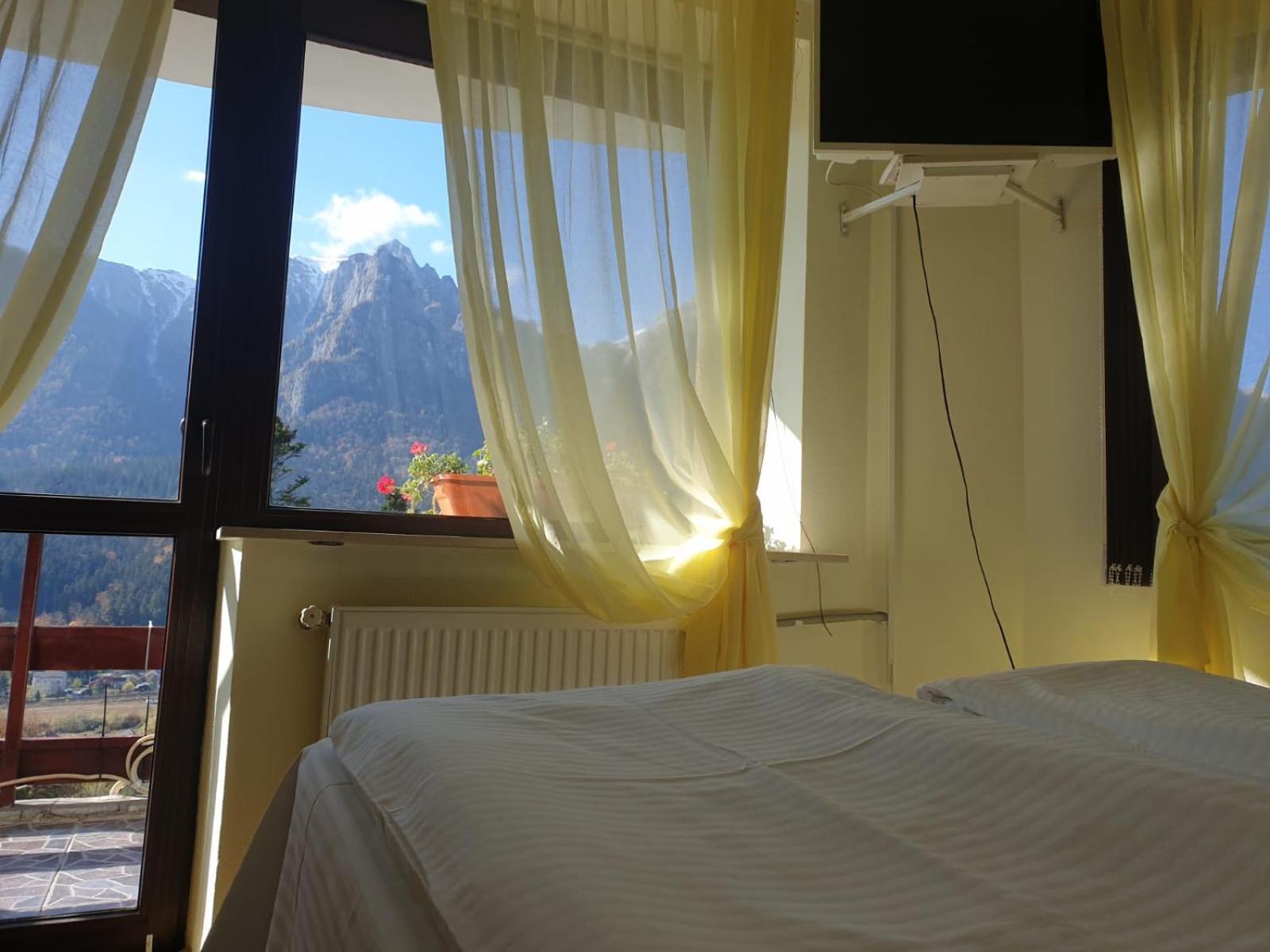 Vila Alunis Busteni Phòng bức ảnh