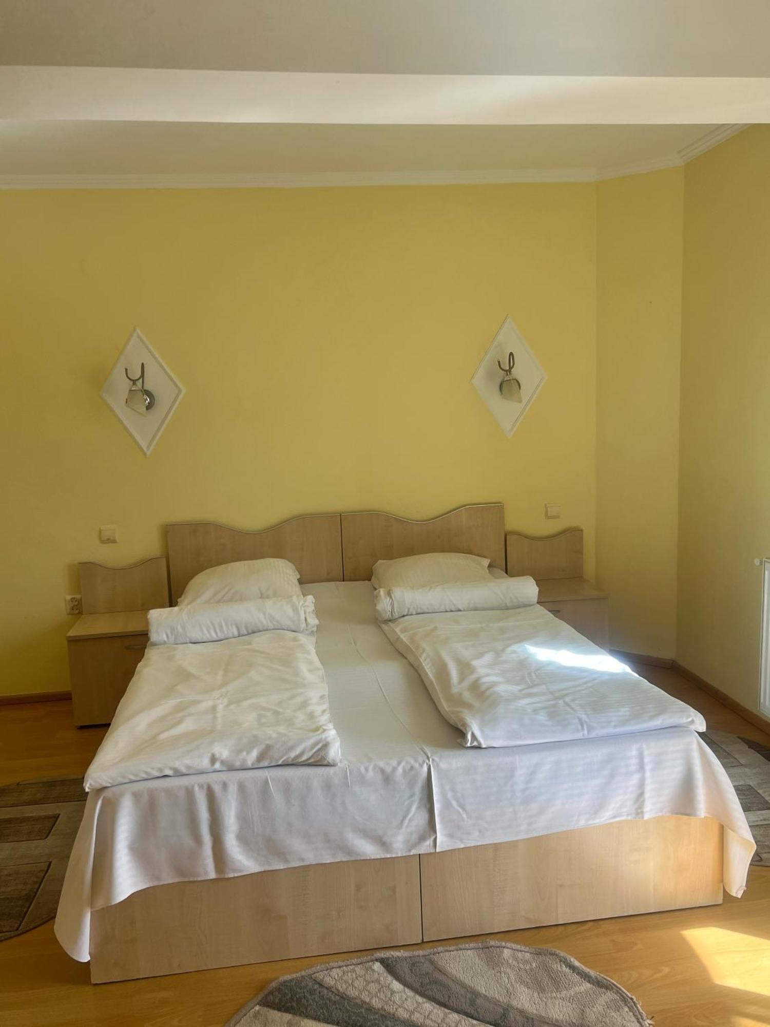 Vila Alunis Busteni Ngoại thất bức ảnh