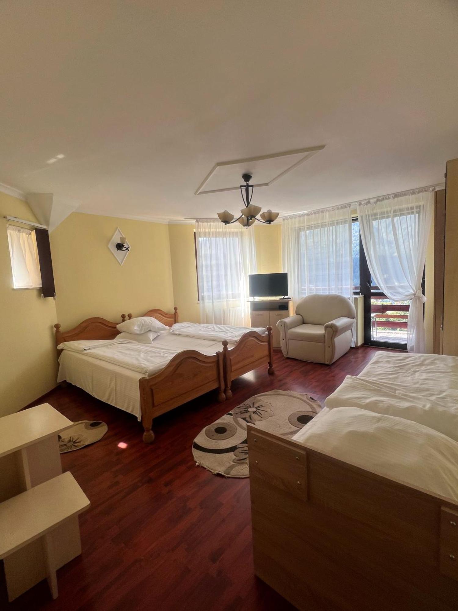 Vila Alunis Busteni Ngoại thất bức ảnh